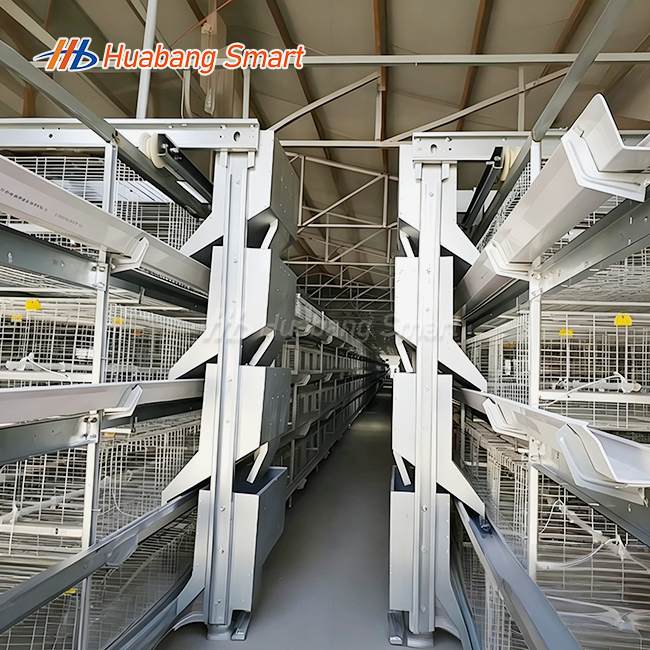 Broiler Chicken Battery Cage